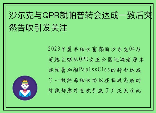 沙尔克与QPR就帕普转会达成一致后突然告吹引发关注